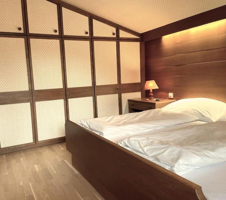 Alpenstueck Family Apartment-2 Bedrooms-80 Sqm-Free Parking ツェル アム ゼー エクステリア 写真